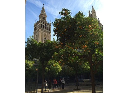 Matthew Wilson_Blog 4_Sevilla