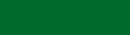 Green Accent Bar