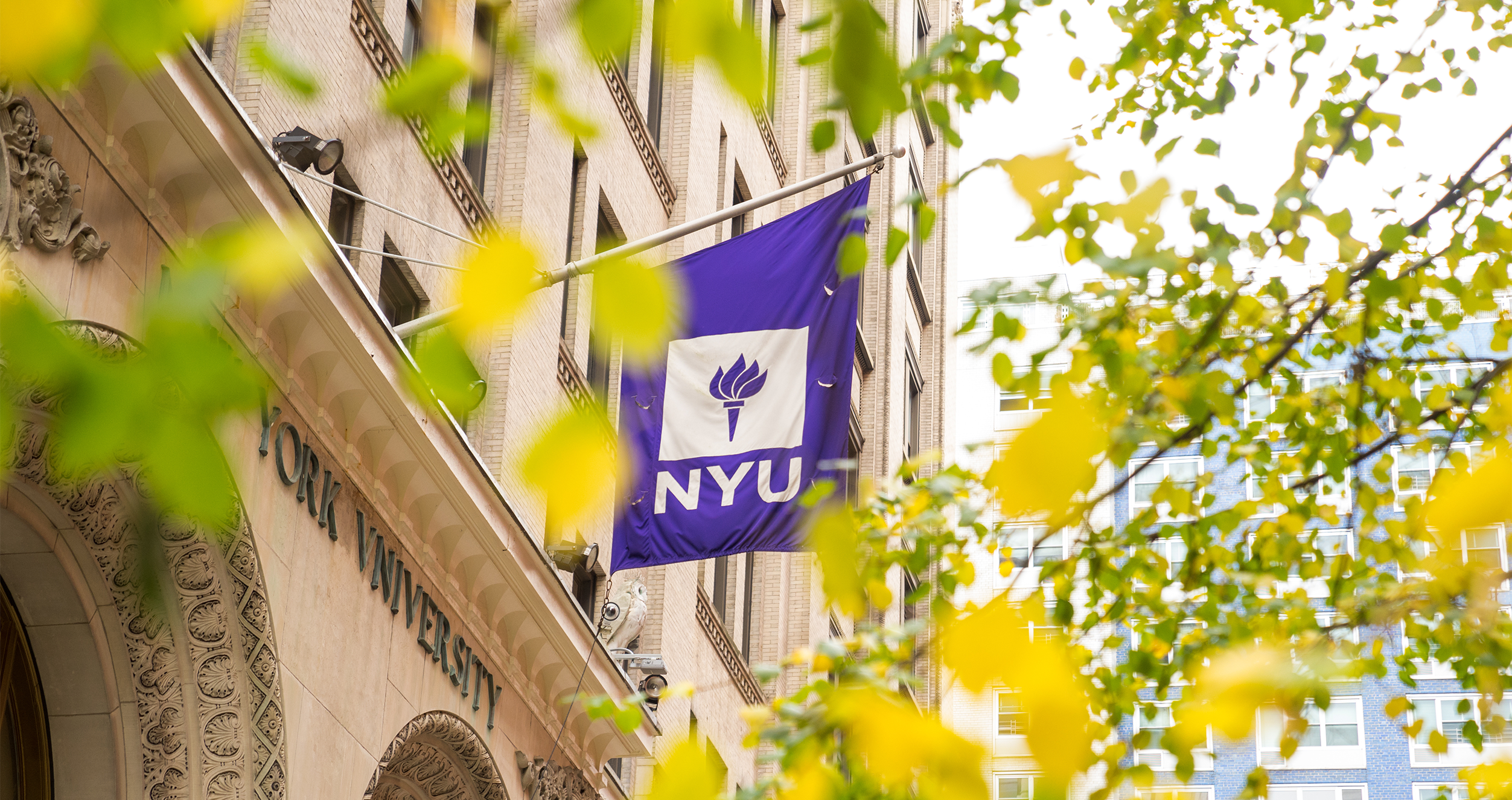 nyu flag outside with tree branches
