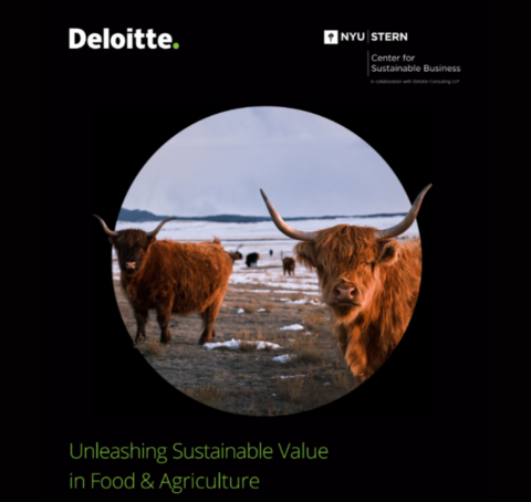 Deloitte cover page