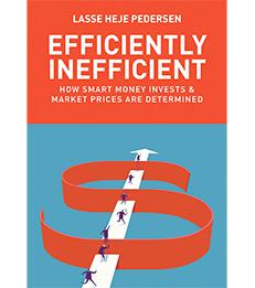 Cover of Efficiently Inefficient