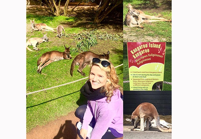 MBA student Cara Witt-Landefeld crouches down to look at five kangaroos sprawled out before her in the grass at Kangaroo Island..