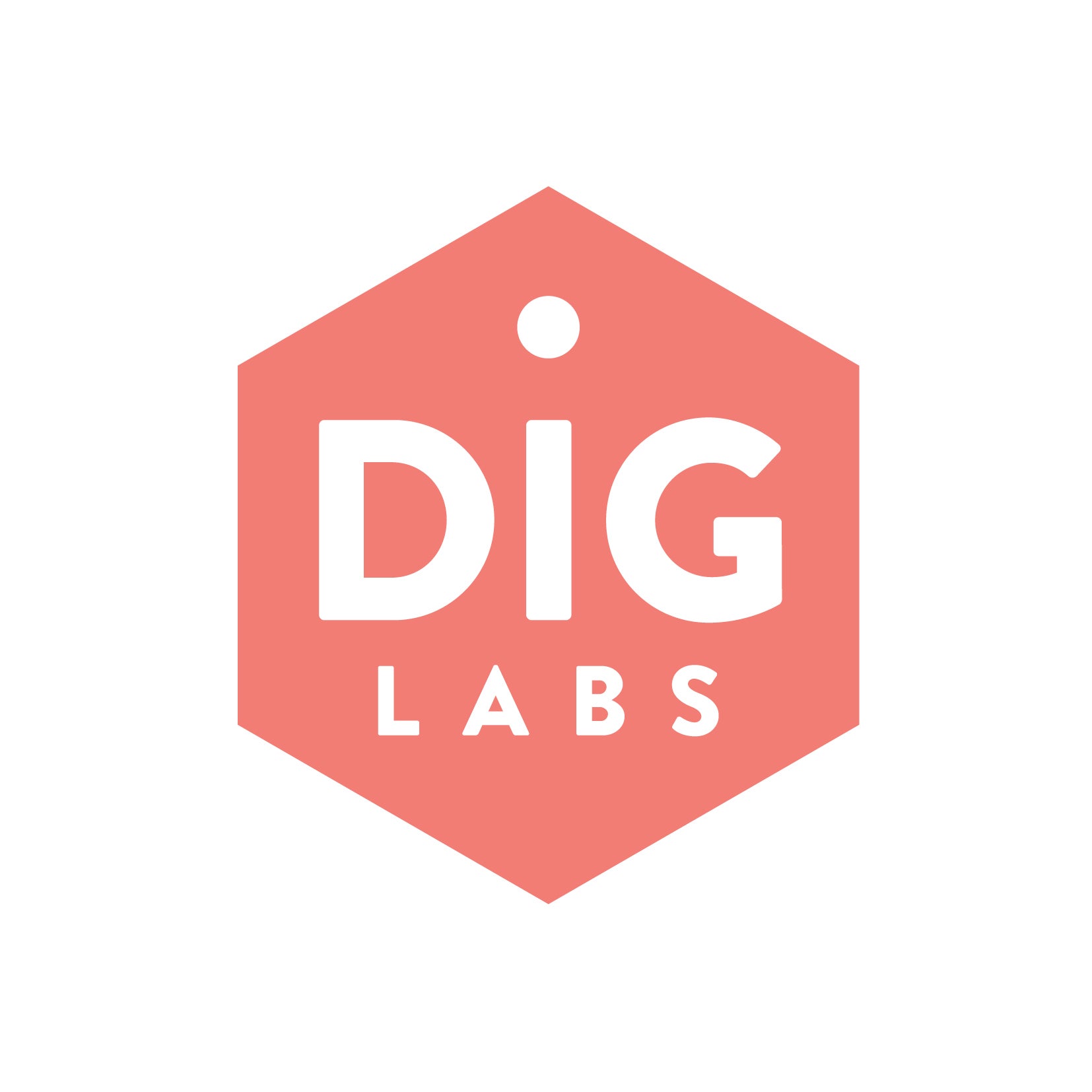 Dig Labs logo