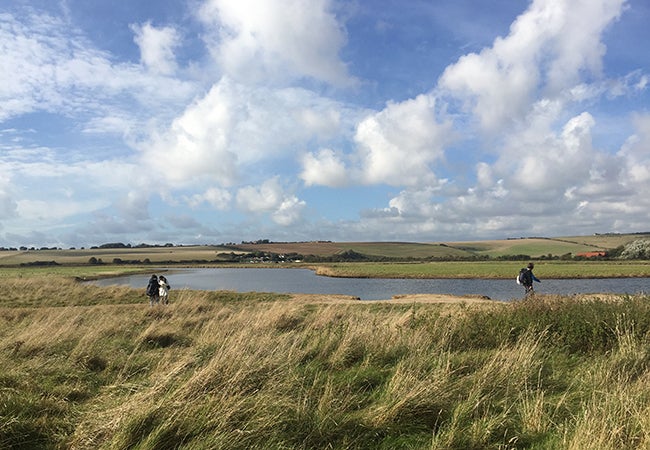 Visitors walk on trails through the tall grass of the English countryside on a clear day. 