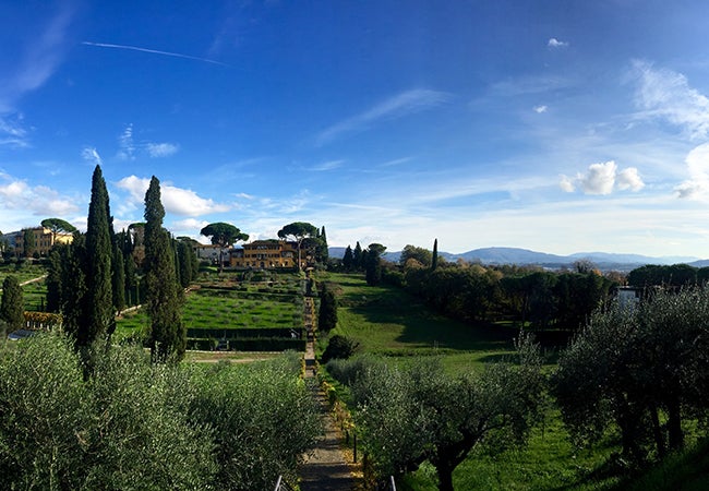 Lush green fields and gardens grow between well-manicured trees and bushes. 