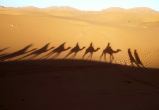 Shadows cast on the desert sand reveal a line of camels carrying riders. 