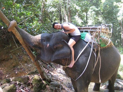 elephant: student blogger hong kong