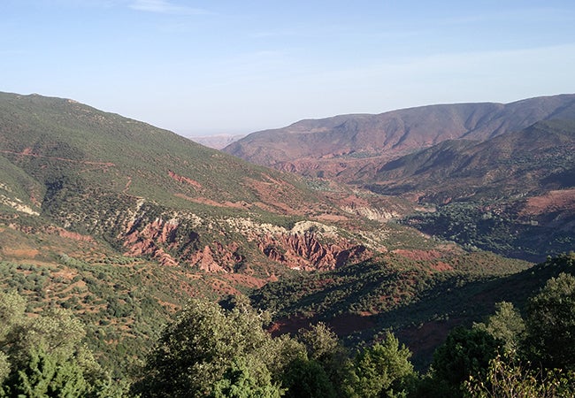 Green shrubs dot red hills in the region of Ouarzazate, Morocco which has been nicknamed the “Hollywood of Morocco.”