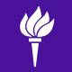 nyu torch 80x80 image 