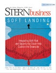 SternBusiness Fall/Winter 2008 image