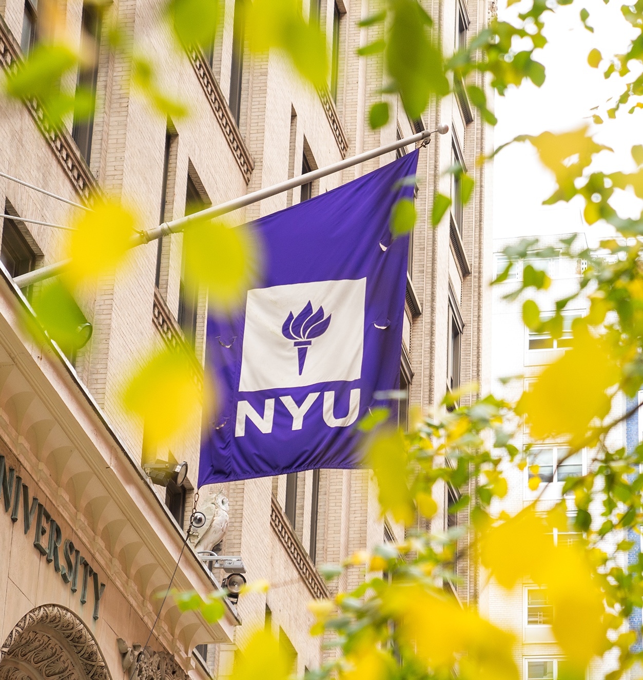 nyu flag outside with tree branches