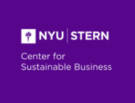 NYU Stern CSB Logo