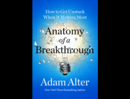 anatomy of a breakthrough book cover, black text on bright blue background with lightbulb in center