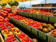 tomatoes in produce boxes