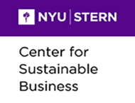 NYU Team Named Finalist in the 2019 Kellogg-Morgan Stanley Sustainable Investing Challenge