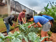 People planting in an urban garden