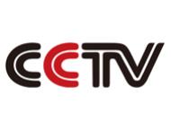 CCTV logo