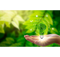 Sustainability Executive Courses