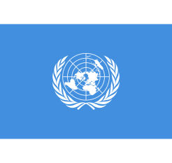 UN Report