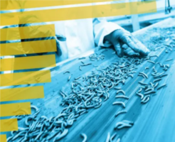 Financial Times Article Image