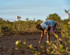 Tree Planting Project