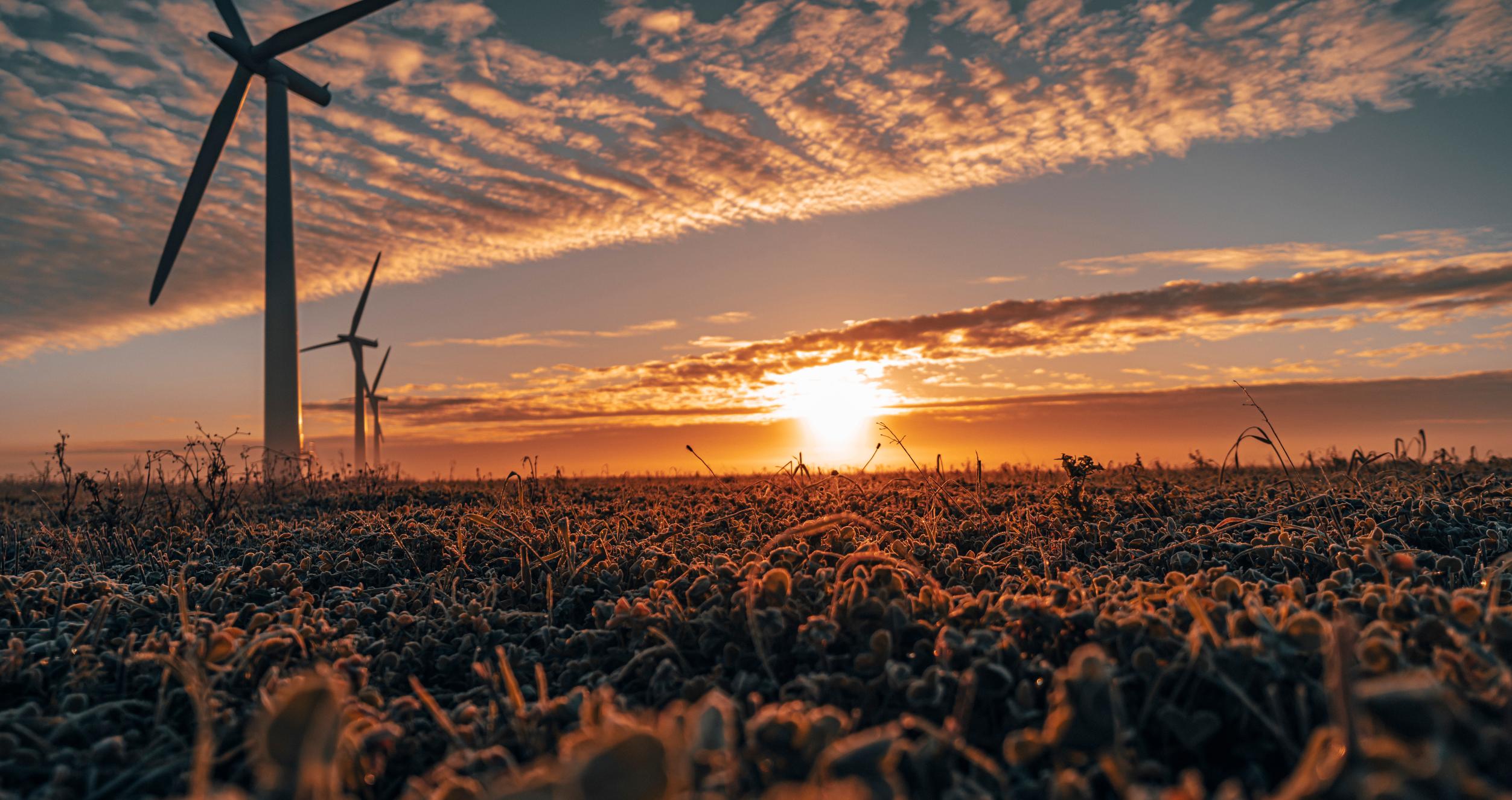 Three commercial wind turbines in thick fog at sunrise