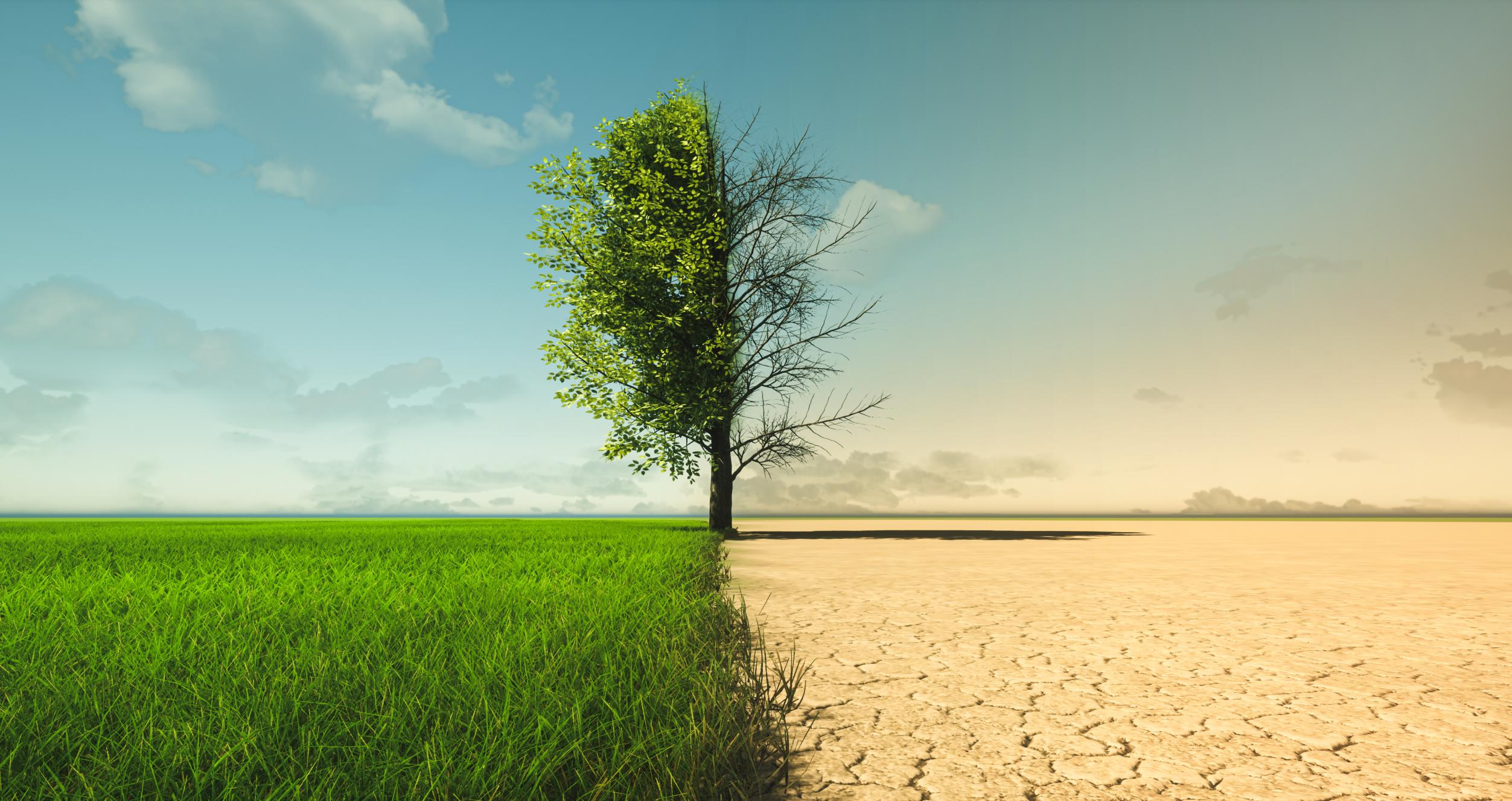 Climate change from drought to green growth