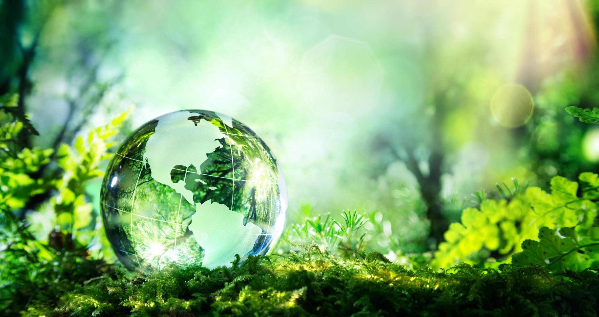 Crystal globe on moss in a forest