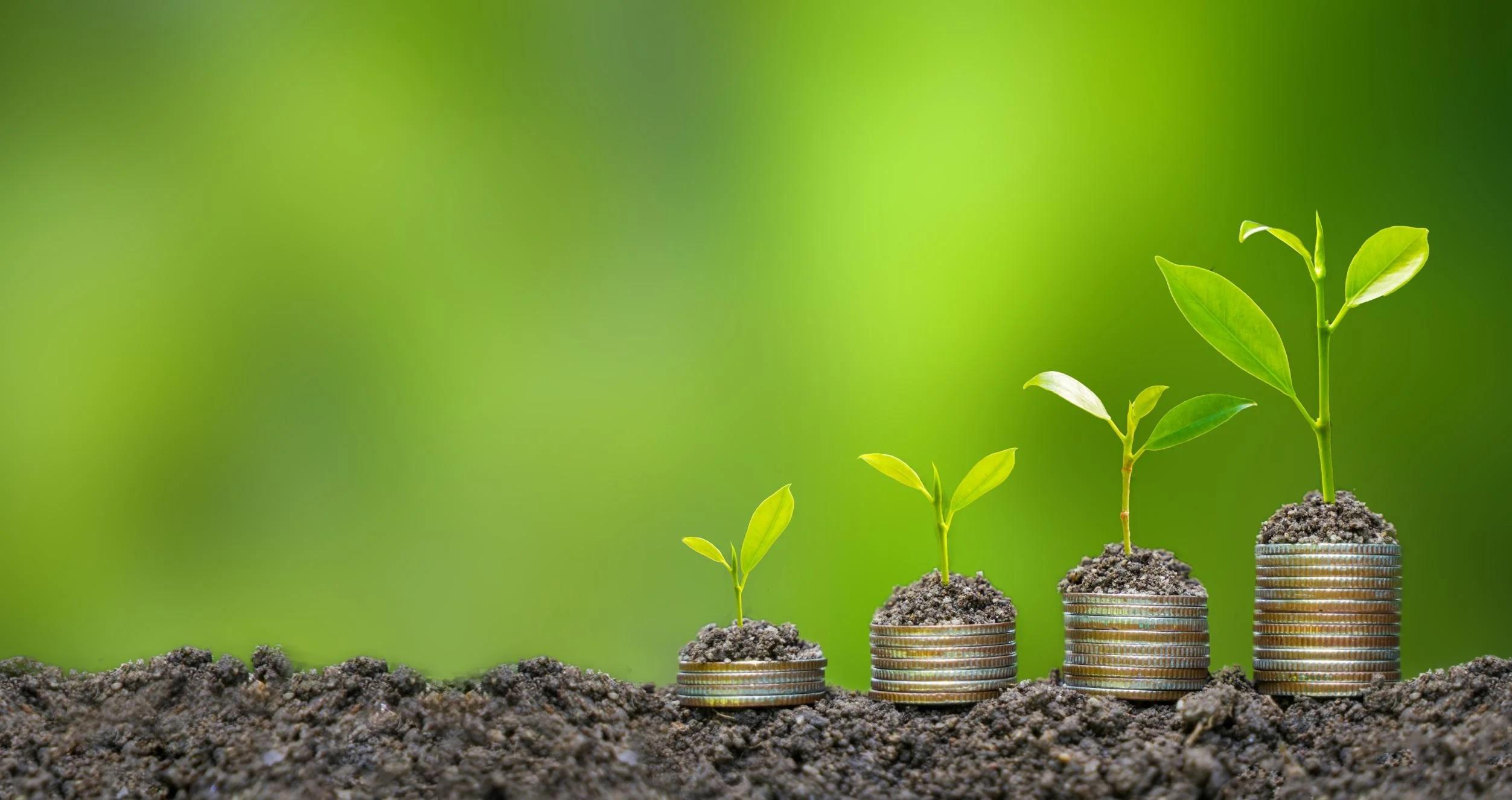 Climate Finance Plants Growing Out of Money