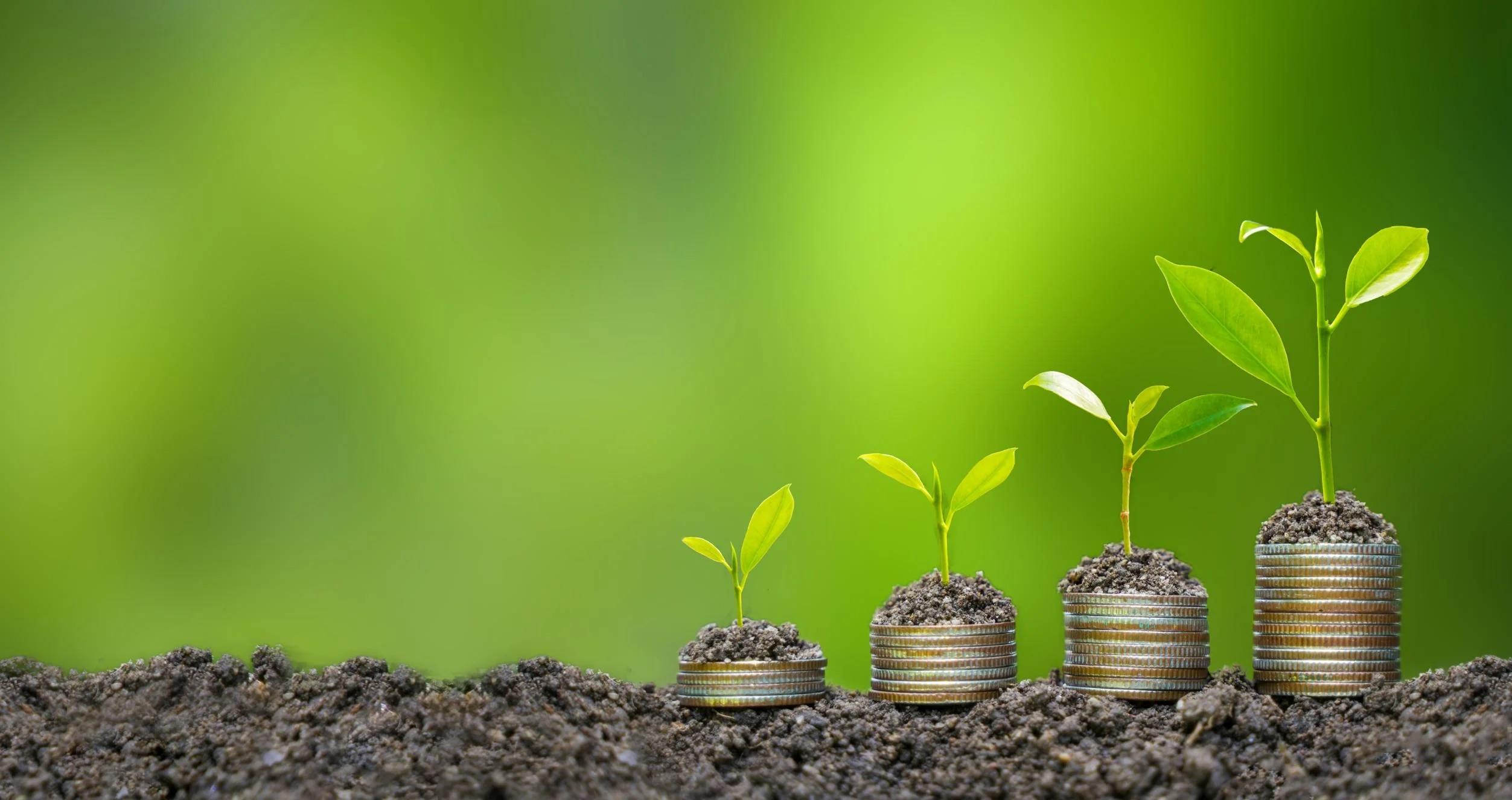 Plants Growing Out of Money 