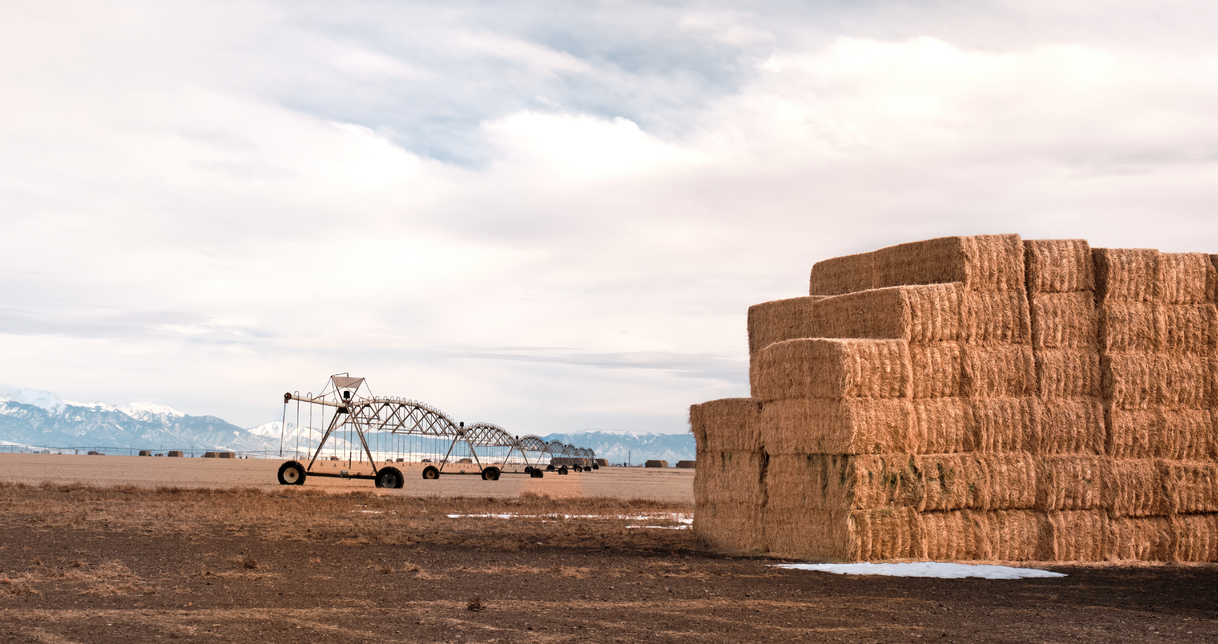 hay stacks on a field
