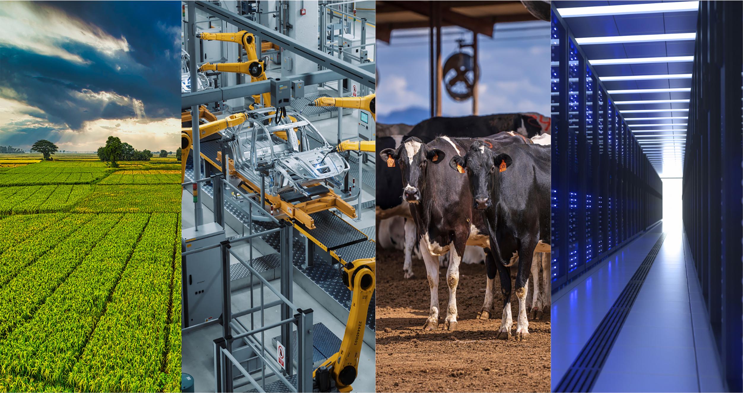 SAW: USA program image - four pictures left to right - farm field, car assembly line, cows and row of data servers