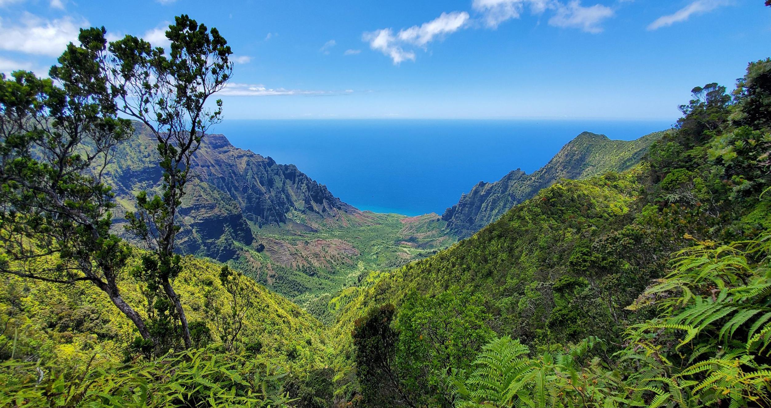 SAW: USA Hawaii SAW: USA Hawaii image of Hawaii mountains with ocean in background