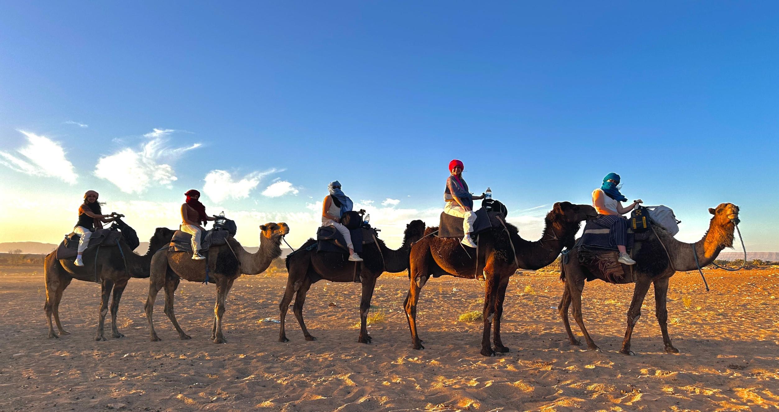 Students on camels