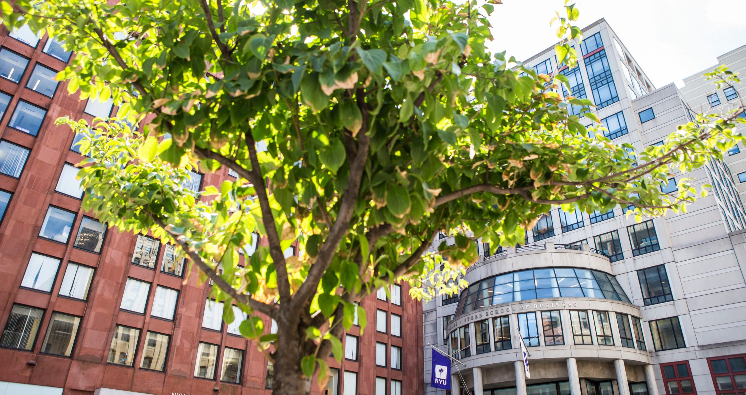 NYU Stern Gould Plaza