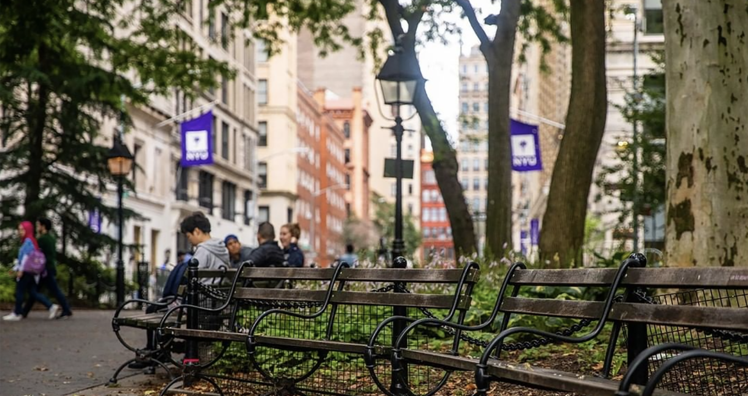 Park benches in Washington Square Park with NYU flags in the background