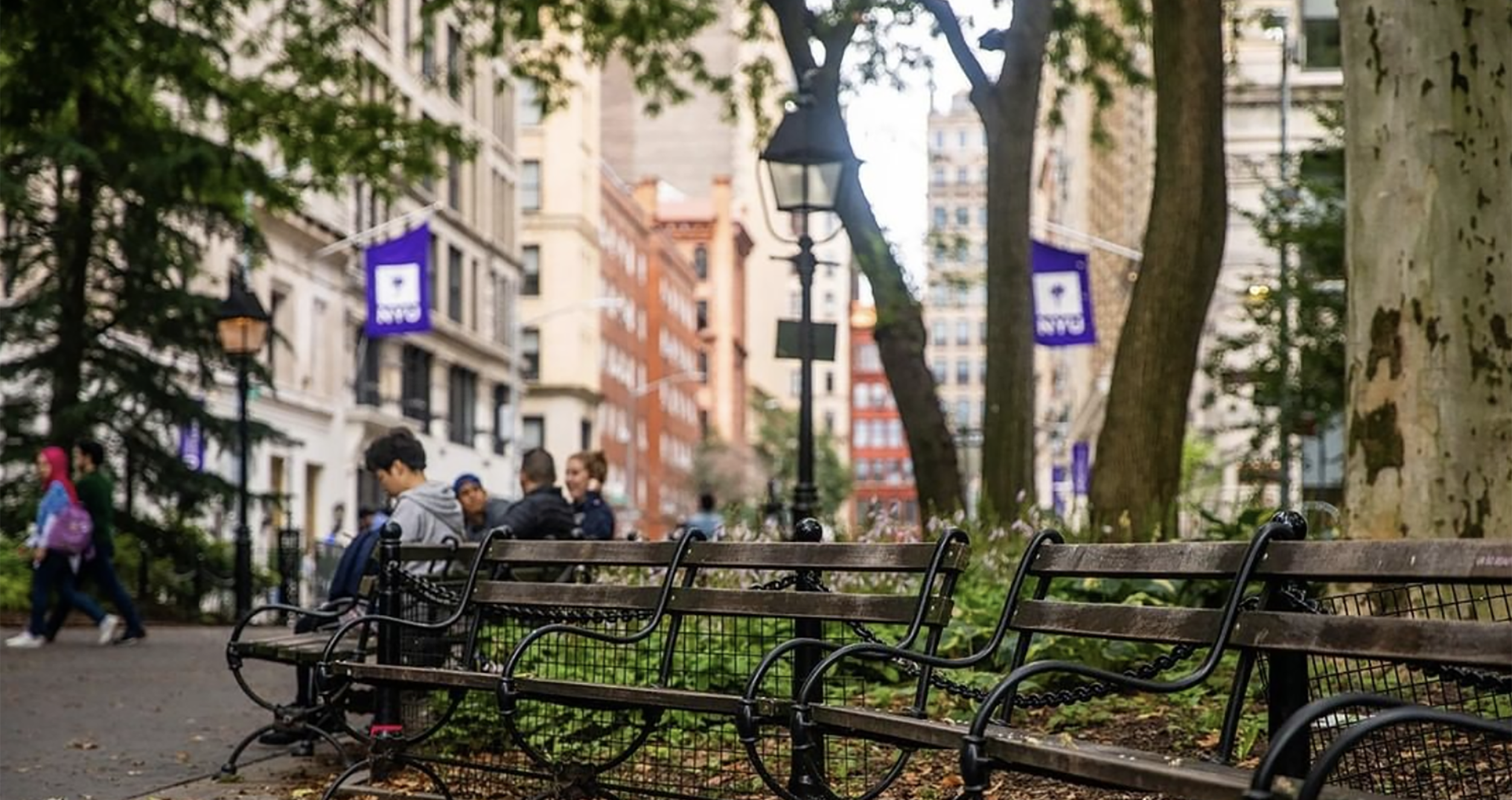 Parent Donors 2020 Park benches in Washington Square Park with NYU flags in the background