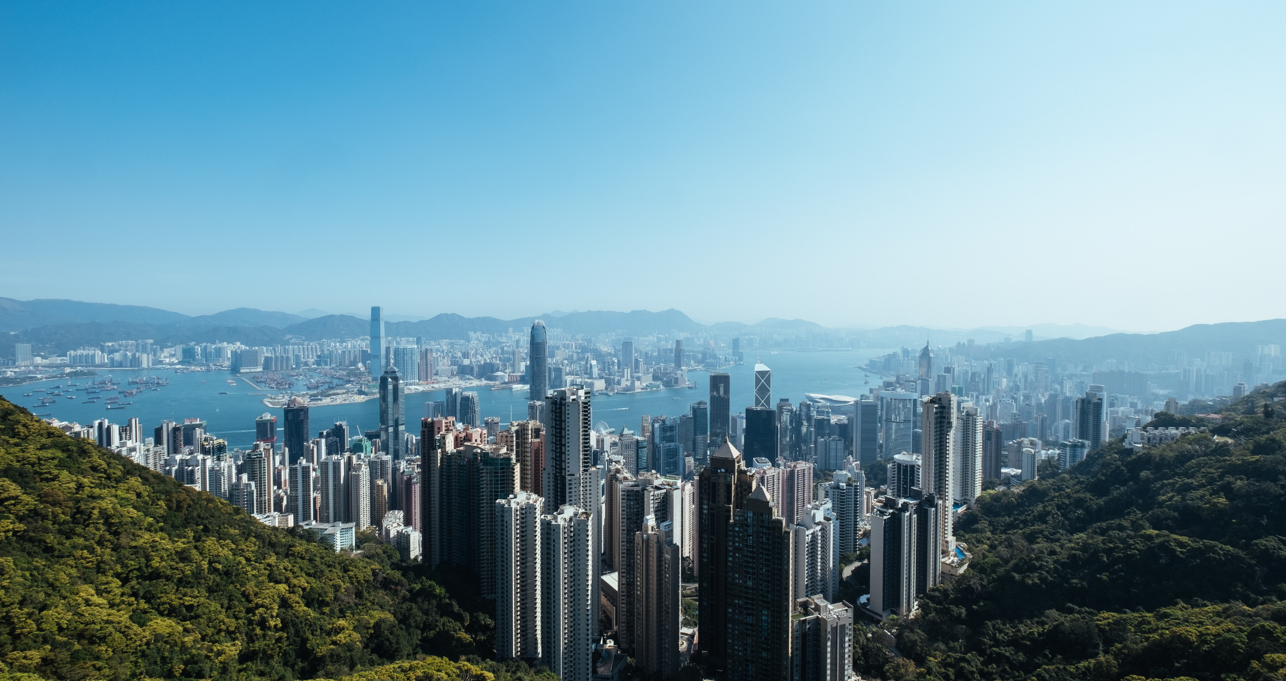 The Hong Kong skyline