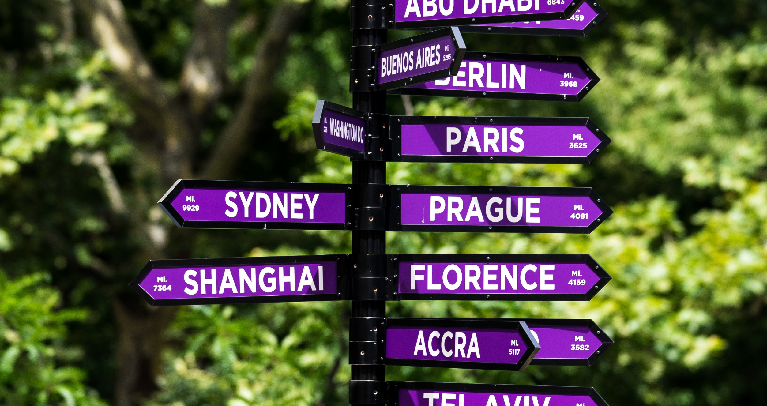 Sign of NYU global locations