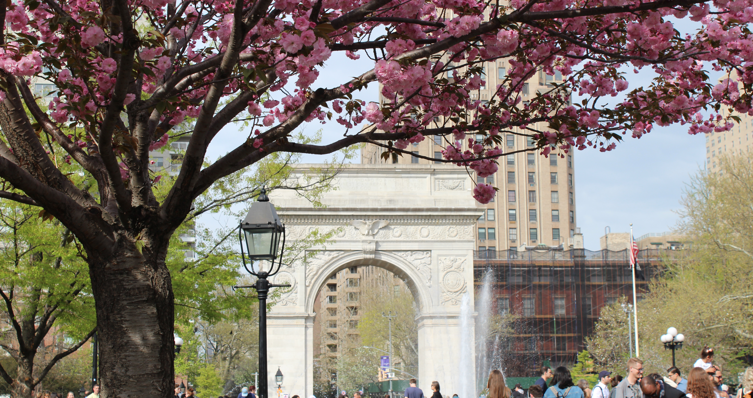 Washington Square Park in summer