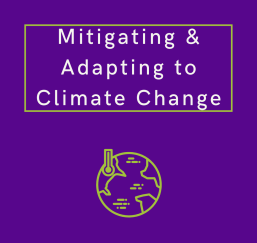 Mitigating & Adapting to Climate Change Graphic