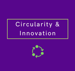 circularity infographic