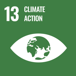 UN SDG goal 13 climate action logo