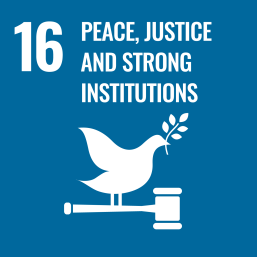 UN SDG goal 16 peace, justice and strong institutions
