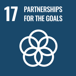 UN SDG goal 17 partnerships for the goals logo