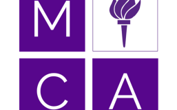 Management Consulting Association