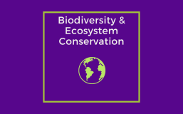 Biodiversity
