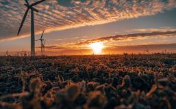 Three commercial wind turbines in thick fog at sunrise