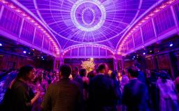 Stern alumni gather at Reunion 2024