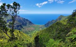Image of Hawaii mountains with ocean in the background